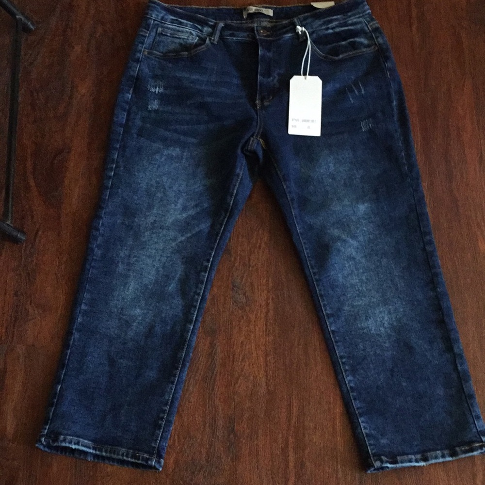 Blue savvy denim plus size 22 new